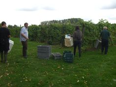 several people are standing in the grass with some boxes and bins on their backs