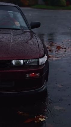 a car is parked in the middle of a flooded street with leaves on the ground