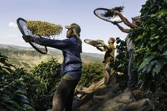 three people holding tennis racquets on top of a rocky hill with trees and mountains in the background