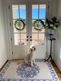 a white dog sitting on top of a blue rug in front of a glass door