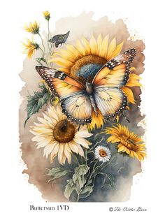 a watercolor painting of a butterfly and sunflowers