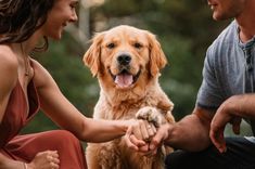 a man and woman sitting next to a dog with their hands on each other's paws