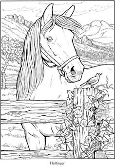 a coloring page with a horse in the background