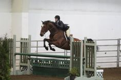 a person jumping a horse over an obstacle