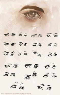 an image of someone's eyes with different types of lashes and eyebrows on them