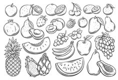 a bunch of fruits that are drawn in black and white