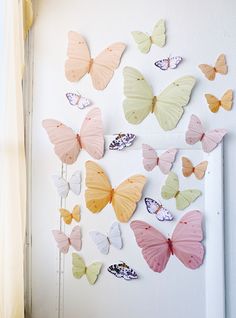 a group of butterflies mounted to the side of a white wall next to a window