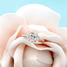 a diamond ring sitting on top of a white rose with the petals still attached to it