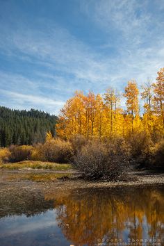 a small lake surrounded by trees with yellow leaves on it and blue sky in the background