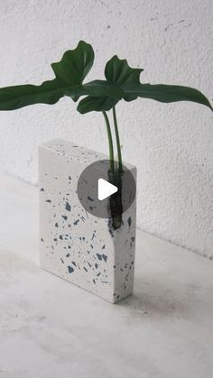 a plant in a concrete vase on a table