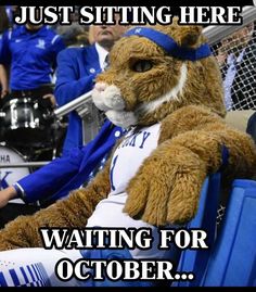 a teddy bear sitting in the stands at a baseball game with text that reads, just sitting here waiting for october