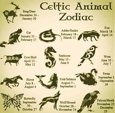 an old poster with zodiac signs and animals on it's back side, as well as the date for each zodiac sign