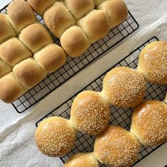 bread rolls lined up on cooling racks with sesame seeds in the middle and other buns behind them