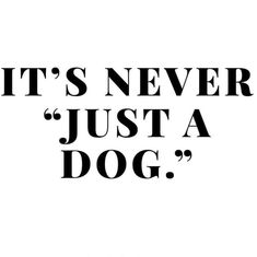 the words it's never just a dog written in black on a white background