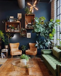 a living room filled with furniture and plants