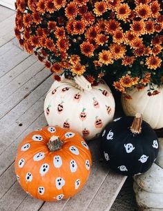 pumpkins and flowers are sitting on the porch