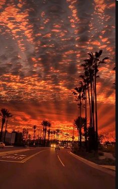 the sun is setting behind palm trees on the side of the road with clouds in the sky