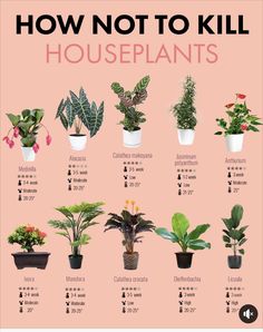 a poster showing how to kill houseplants in different types of potted plants