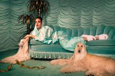 a woman laying on top of a couch next to two dogs in front of a curtain