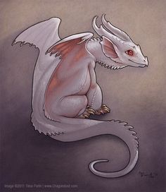 a white and red dragon sitting on top of a gray ground with its wings spread