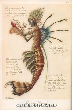 a drawing of a mermaid holding a flower in her hand and writing on the back