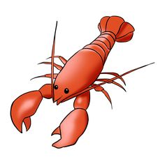 a red lobster with long legs and claws on it's back end, swimming in the water