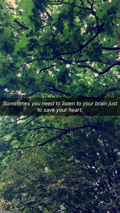 trees with the words sometimes you need to listen to your brain just to save your heart