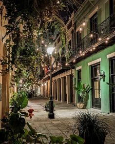 an empty street with lights strung from the buildings and potted plants on either side