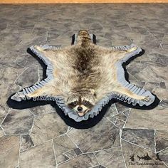 a raccoon laying on the ground with its mouth open and it's tail curled up