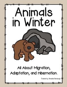 an animal in winter book with the title