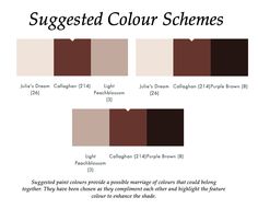 different shades of the same color scheme for an eye shadow palette, with text below