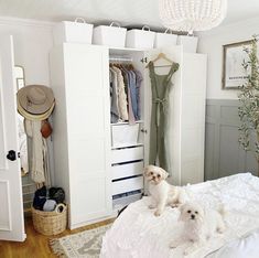 two small white dogs sitting on a bed in a room with closets and clothes