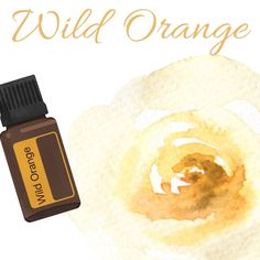 Wild Orange