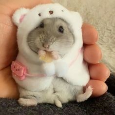 a small hamster is dressed in a hoodie and holding a piece of food