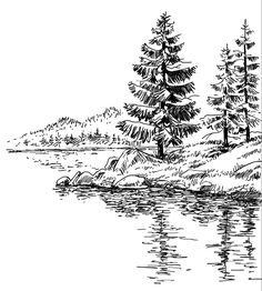 a black and white drawing of trees by the water