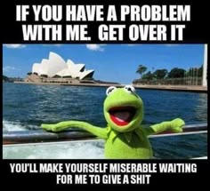 kermie the frog on a boat saying if you have a problem with me get over it