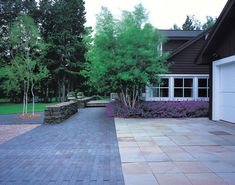 the driveway is lined with flowers and trees