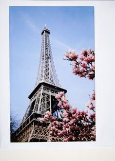 the eiffel tower is surrounded by pink flowers