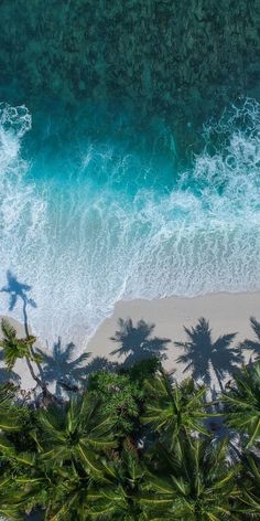 an aerial view of the beach with palm trees and blue ocean water in the background