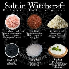 Witch Herbs, Witch Rituals, Magia Das Ervas, Wiccan Magic, Witch Spirituality, Magic Herbs