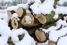 snow covered logs piled on top of each other