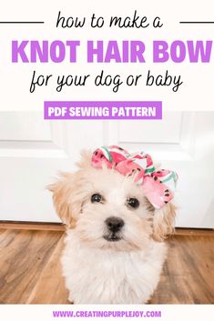 a white dog wearing a pink bow with text overlay that reads how to make a knot hair bow for your dog or baby