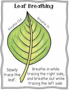 a leaf with the words leaf breathing on it and an image of a green leaf