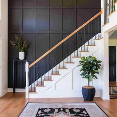 a black and white staircase in a house with wood flooring, potted plant and rug