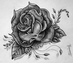 a drawing of a rose with leaves on it