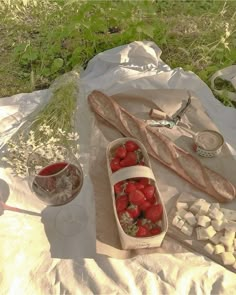 strawberries and marshmallows in a picnic setting