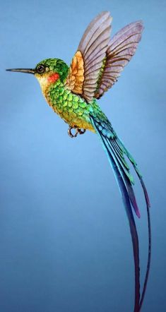 a colorful bird flying through the air