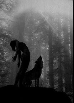 a woman standing next to a wolf on top of a lush green forest covered in fog