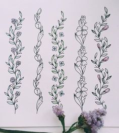 four flowers are shown in the middle of three lines on a white background, one is purple and the other has green leaves