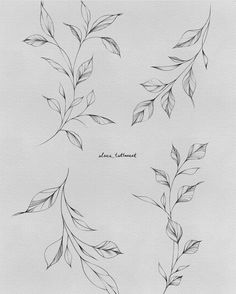 four drawings of leaves with the words love almost written on one side and an image of two